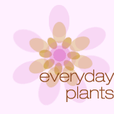 Everyday Plants